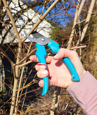 Sperrfrist für Gehölzfällungen | © Stadt Geretsried Hand mit Gartenschere, die einen Zweig abschneidet | © Stadt Geretsried