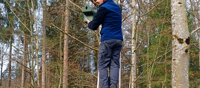 Walter Wintersberger montiert einen Nistkasten an einem Baum im Wald | © Stadt Geretsried