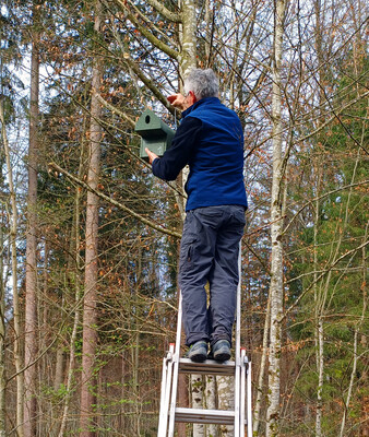 Neue Nistkästen als Ausgleichsmaßnahme | © Stadt Geretsried Walter Wintersberger montiert einen Nistkasten an einem Baum im Wald | © Stadt Geretsried