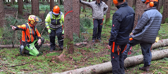 Mitarbeiter der Stadt beim Motorsägen-Kurs im Wald | © Stadt Geretsried