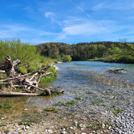 Isar Fluss im Grünen | © Stadt Geretsried
