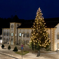 Weihnachtsbaum vor Rathaus | © Stadt Geretsried