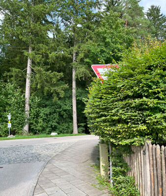 Heckenschnitt | © Stadt Geretsried Verkehrsschild am Straßenrad von Gartenhecke verdeckt | © Stadt Geretsried