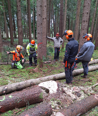 Motorsägen-Kurs | © Stadt Geretsried Mitarbeiter der Stadt beim Motorsägen-Kurs im Wald | © Stadt Geretsried