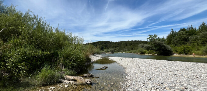 Flussufer der Isar im Sommer | © Stadt Geretsried